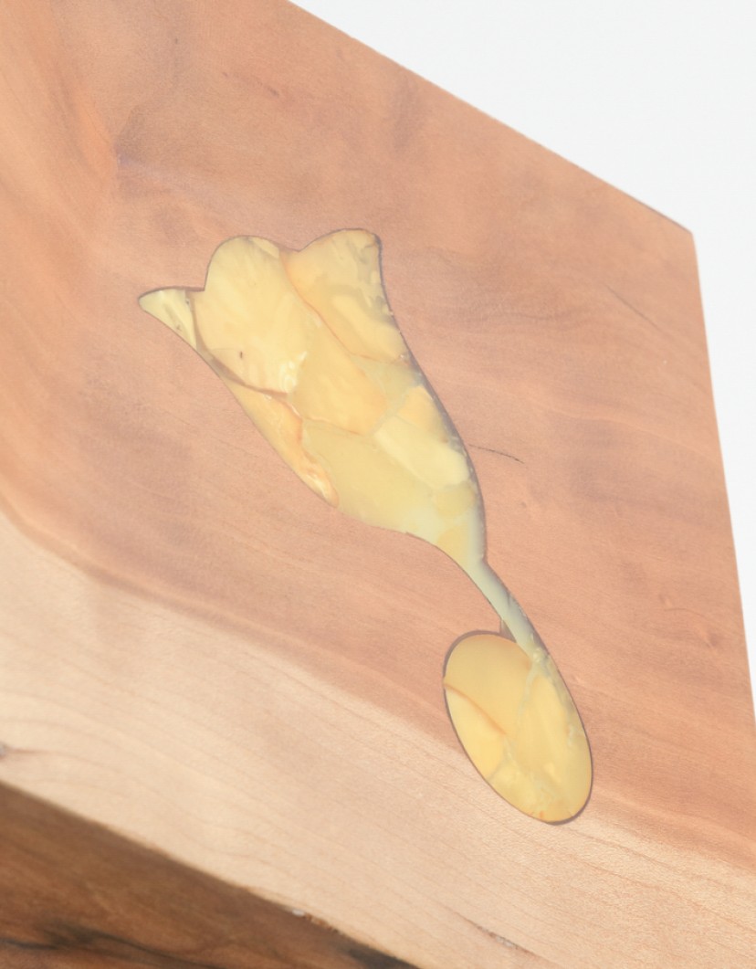 P-By-Privilege-Art-Object-Tineo-Wood-And-Amber-42-Million-Years-image P By Privilege Art Object Tineo Wood And Amber 42 Million Years image