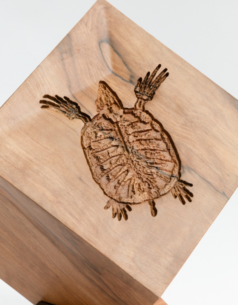 P-By-Privilege-Art-Object-Tineo-Wood-And-Amber-42-Million-Years-image P By Privilege Art Object Tineo Wood And Amber 42 Million Years image