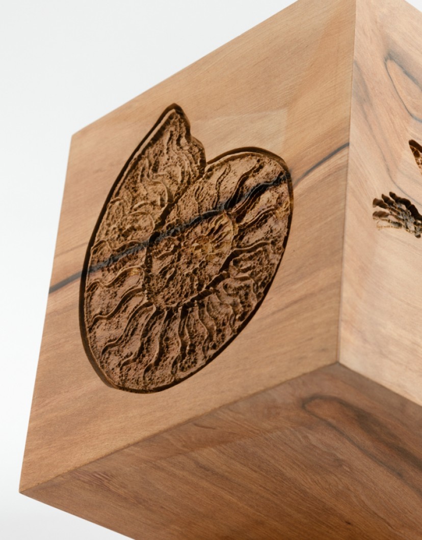 P-By-Privilege-Art-Object-Tineo-Wood-And-Amber-42-Million-Years-image P By Privilege Art Object Tineo Wood And Amber 42 Million Years image